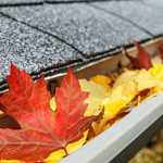 Beautiful Tahoe autumn leaves fill up the rain gutters