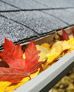 autumn leaves fill up the rain gutters