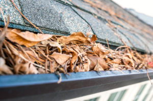 Dirty gutters full of leaves