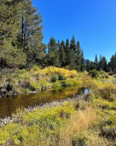 North Upper Truckee River Fall photo