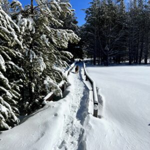 Snowshoeing trails in Washoe Meadows State Park